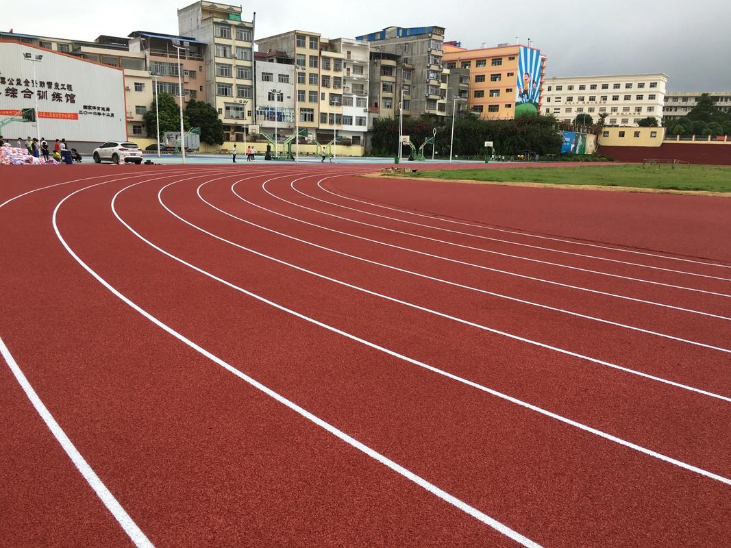 锡林郭勒盟学校塑胶跑道塑胶跑道材料 - 排名